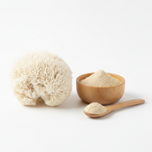 OROSZLÁNSÖRÉNY GOMBA