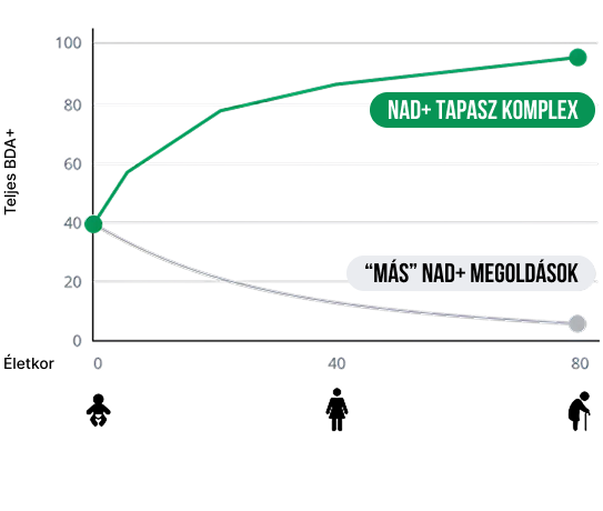 SZEREZZE VISSZA AZT, AMIT AZ IDŐ PRÓBÁL ELVENNI